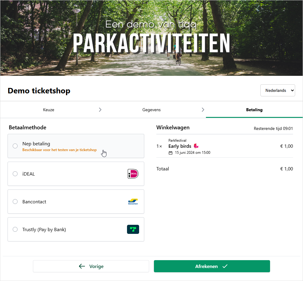 Nep betaling in de demo ticketshop